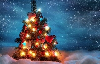 В преддверии Нового года.